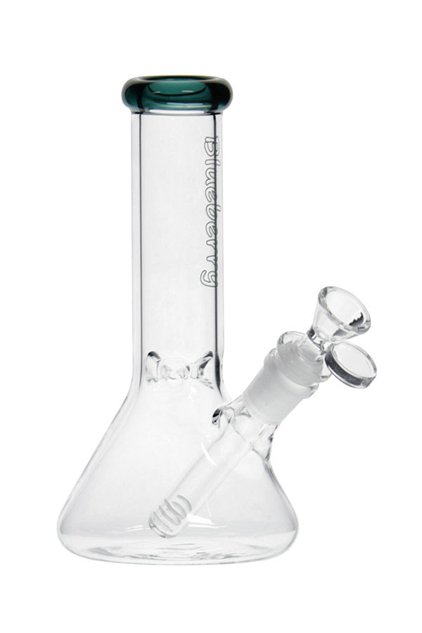 8 040 N 8040 B LUEBERRY M ini C lassic B eaker