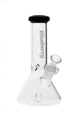 8 040 N 8040 B LUEBERRY M ini C lassic B eaker