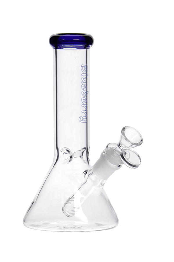 8 040 N 8040 B LUEBERRY M ini C lassic B eaker