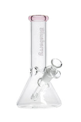 8 040 N 8040 B LUEBERRY M ini C lassic B eaker