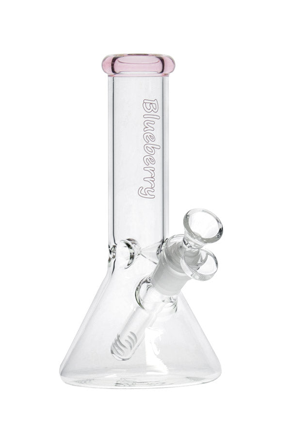 8 040 N 8040 B LUEBERRY M ini C lassic B eaker