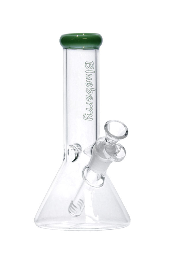8 040 N 8040 B LUEBERRY M ini C lassic B eaker