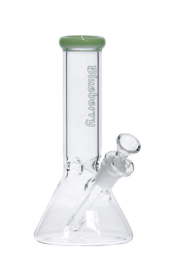 8 040 N 8040 B LUEBERRY M ini C lassic B eaker
