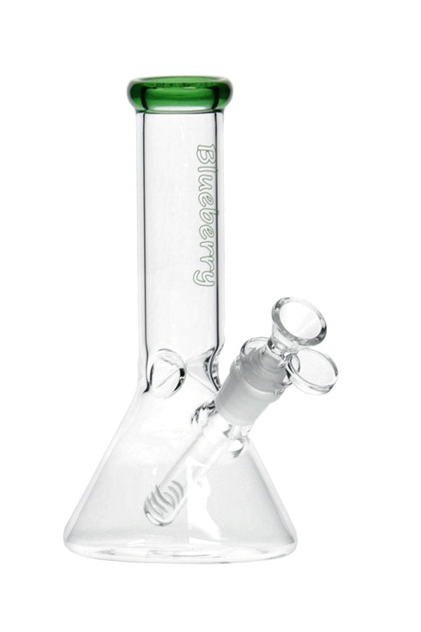 8 040 N 8040 B LUEBERRY M ini C lassic B eaker