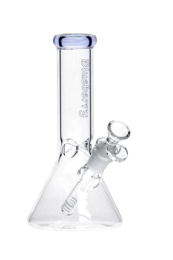 8 040 N 8040 B LUEBERRY M ini C lassic B eaker